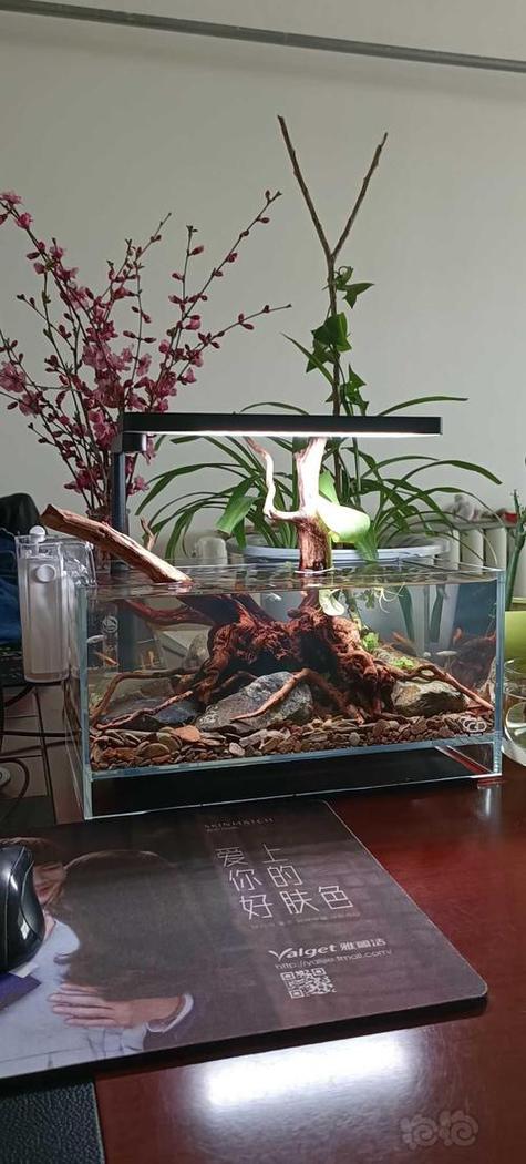 鱼缸里弱酸性水教程