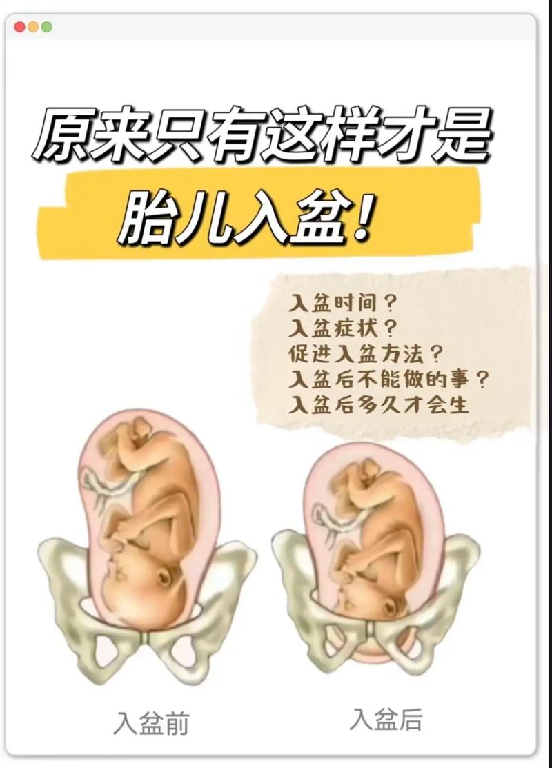 胎儿入盆胎动减少吗 入盆后胎动减少是怎么回事