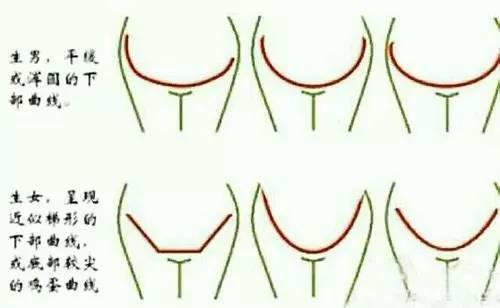 解析胎儿入盆后肚子形状是怎么样的