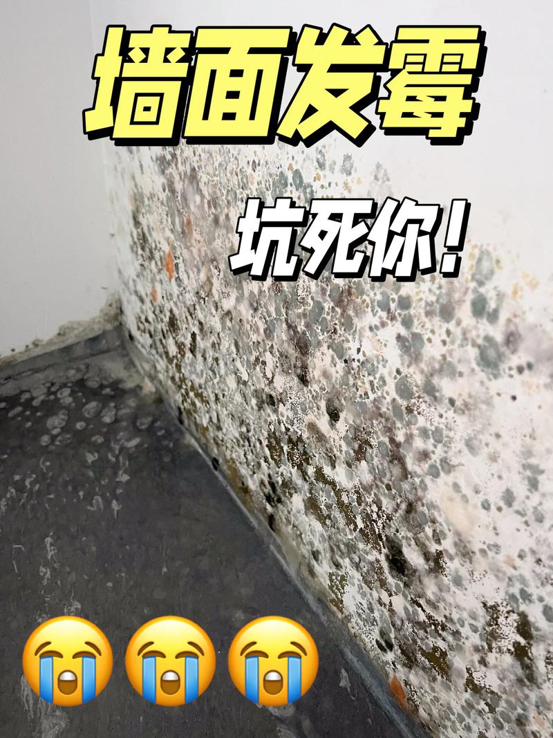 墙壁发霉怎么办 墙壁发霉简易处理窍门