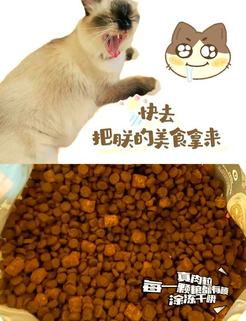 家里没猫粮给猫吃什么,猫粮吃完